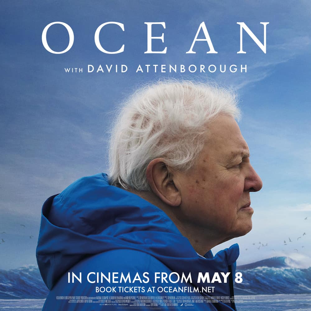 David Attenborough looking pointedly at the ocean waves. Cover image for oceanfilm.net