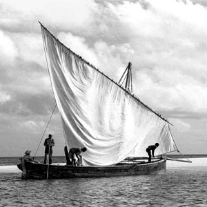 Dhow boats
