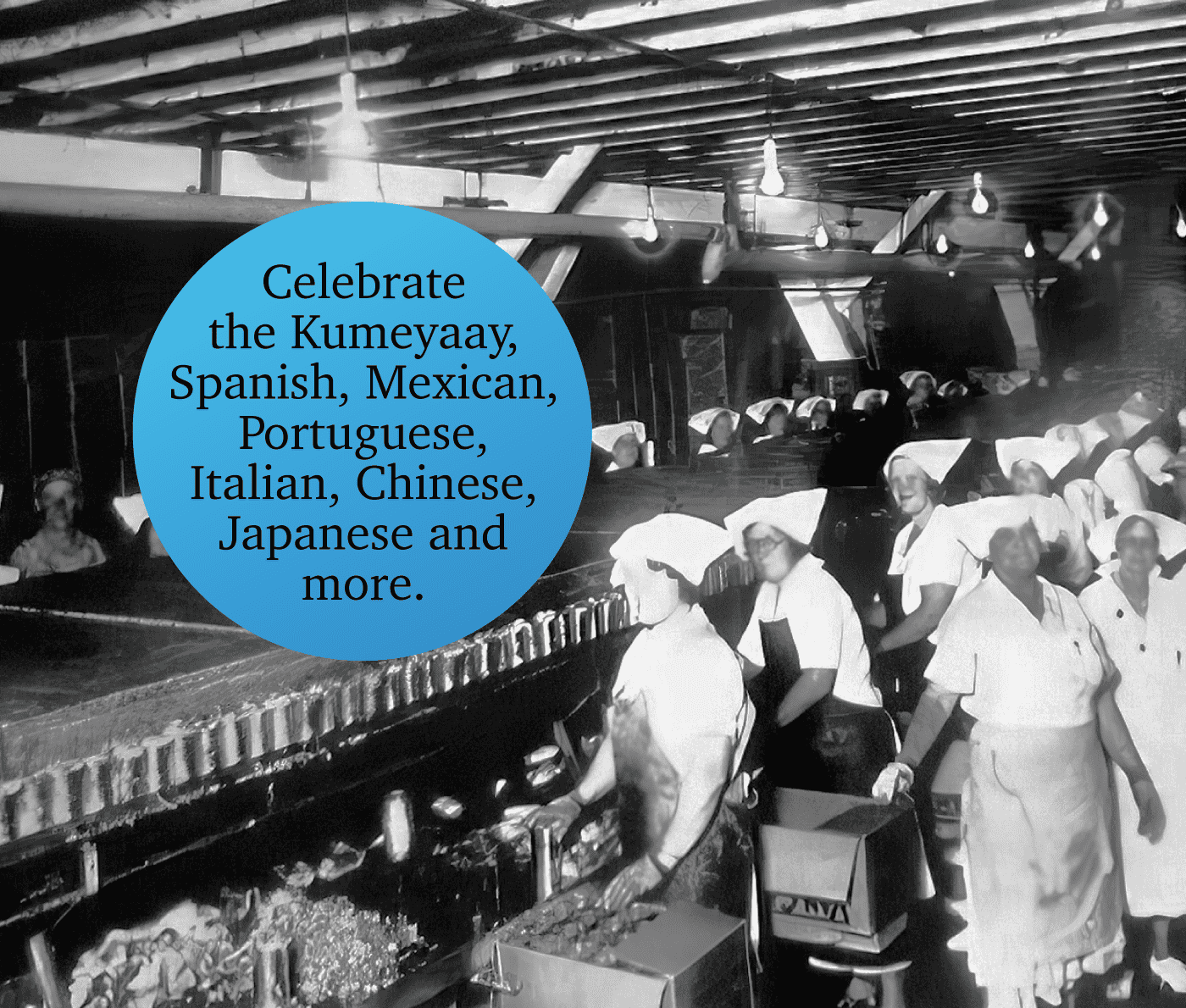 Harvesting The Ocean