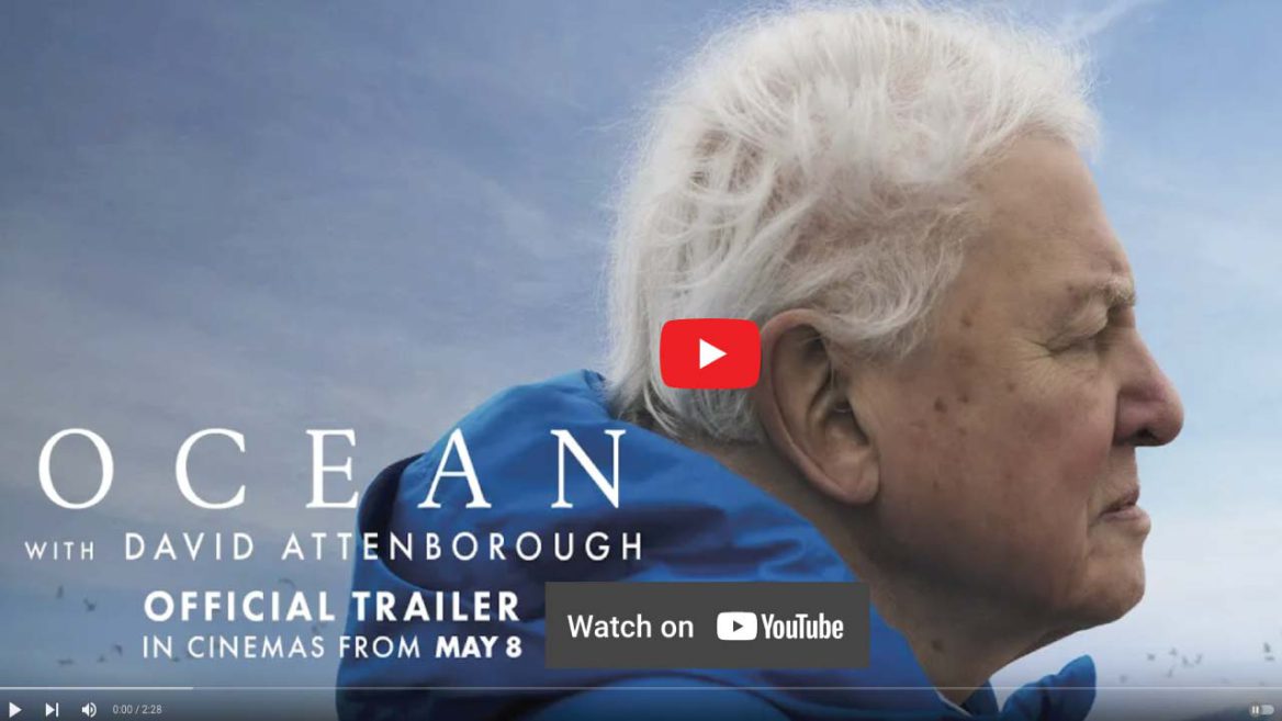Title image from youTube of Ocean with David Attenborough, Official Trailer. When clicked will play video on youTube.